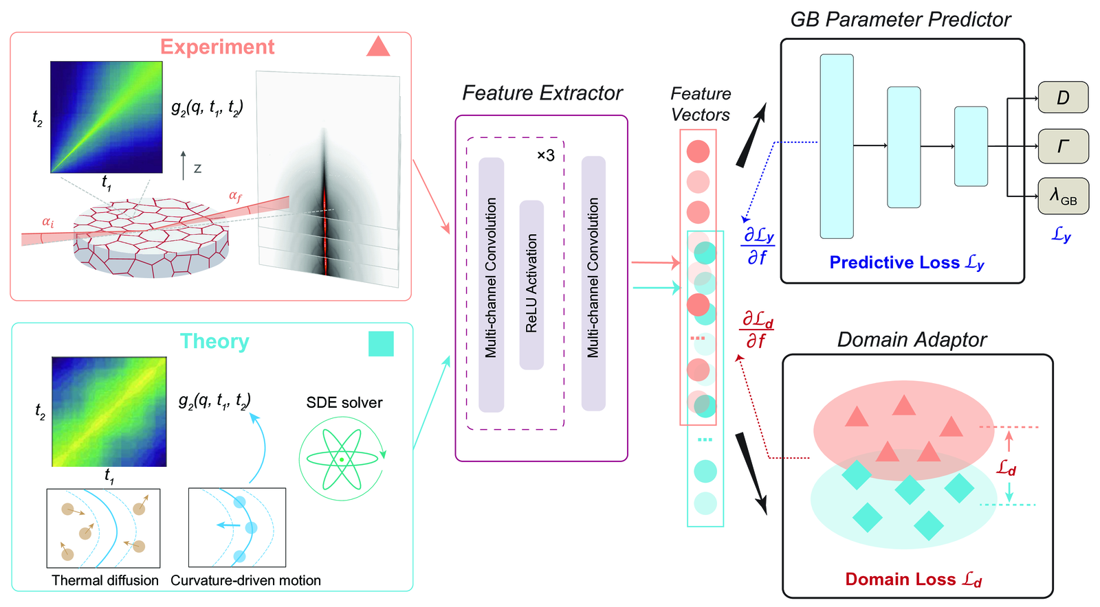 Integrated workflow for XPCS, theory, and domain-adaptive machine learning in grain-boundary dynamics